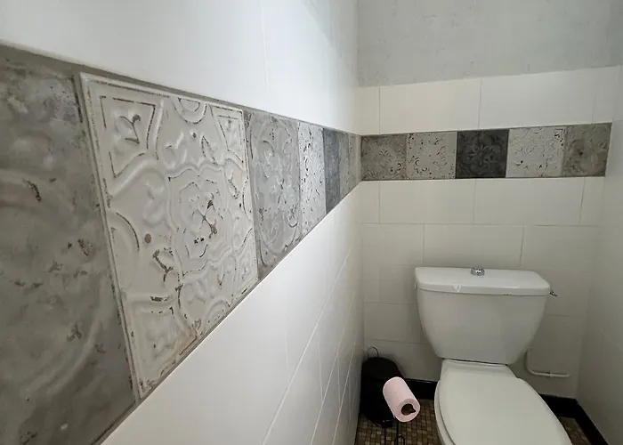 Centre-ville La Roche-posay, Jardin, Terrasse, Wifi, Lave-vaisselle - Fr-1-541-147 * La Roche-Posay